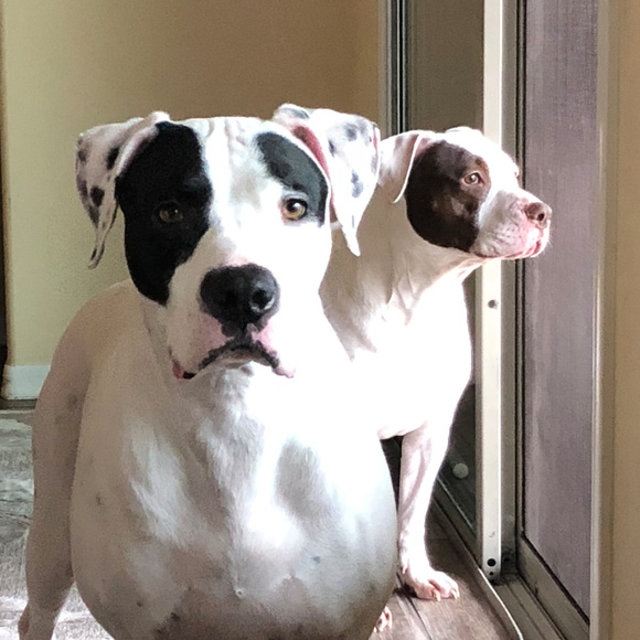 Make me an offer or bundle your likes - Picture 2 of 14